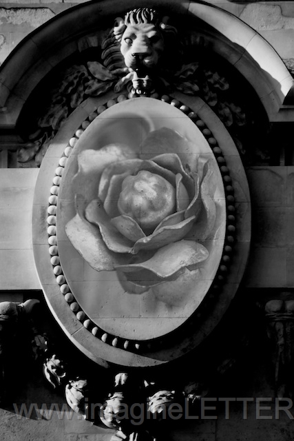 Wall_Art_Alphabet_Photography_Art_ 1673.jpg